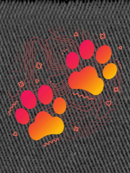 Paw Print Gradient Look