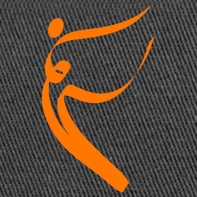 logo metamassage color