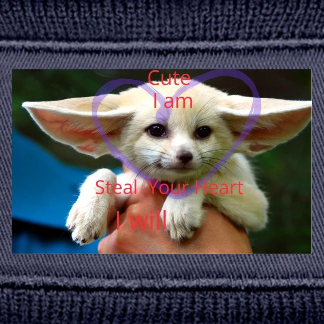 baby fox