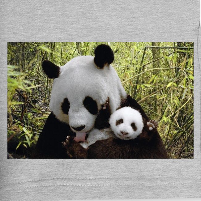 panda