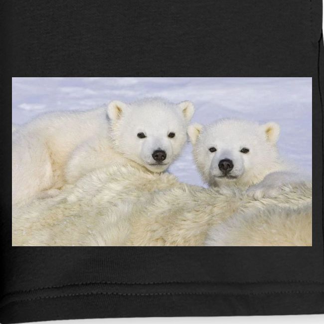 polarbears