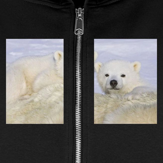 polarbears