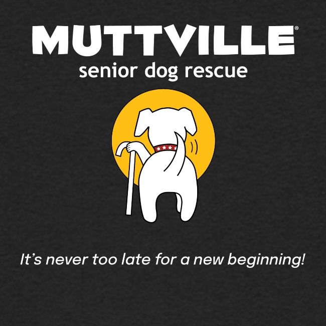 It's never too late for a new beginning!