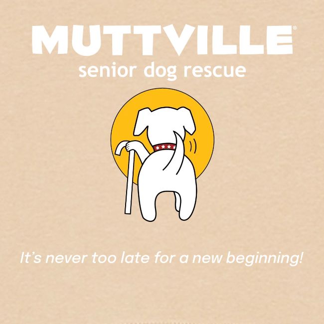 It's never too late for a new beginning!
