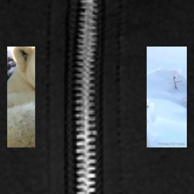 polarbearhug