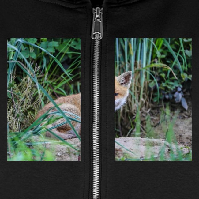 fox