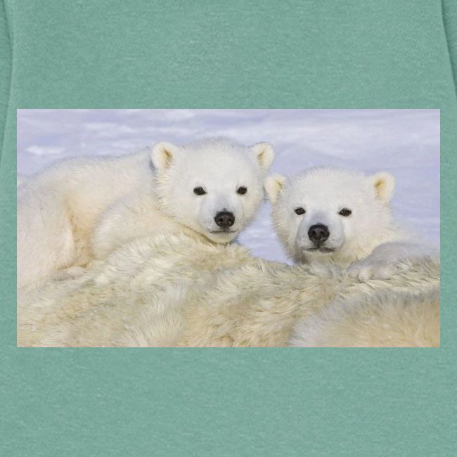 polarbears