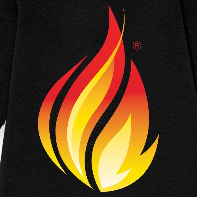 HL7 FHIR Flame Logo