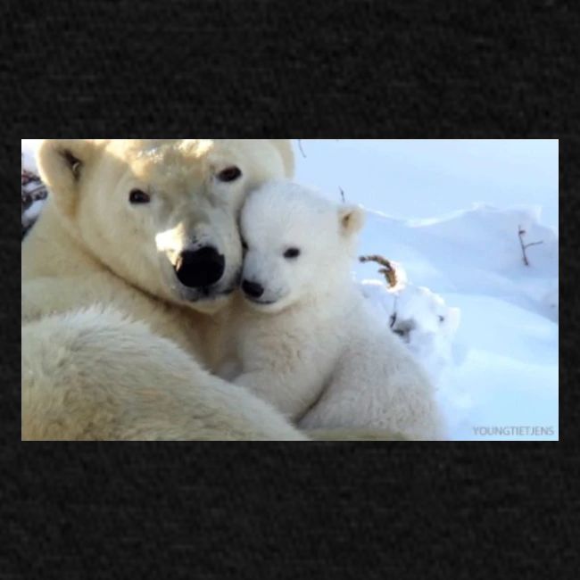 polarbearhug
