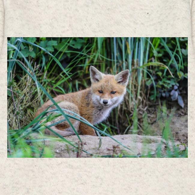 fox