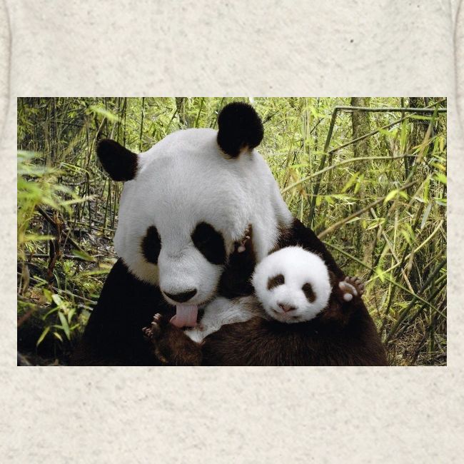 panda