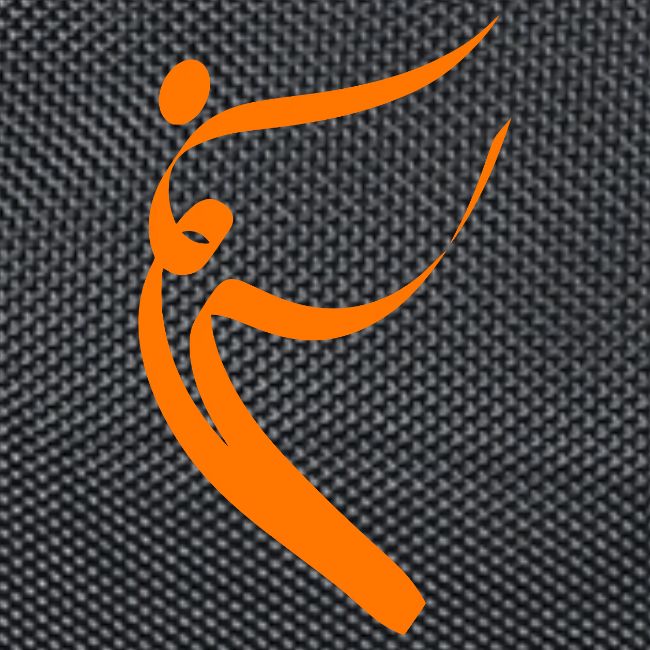 logo metamassage color