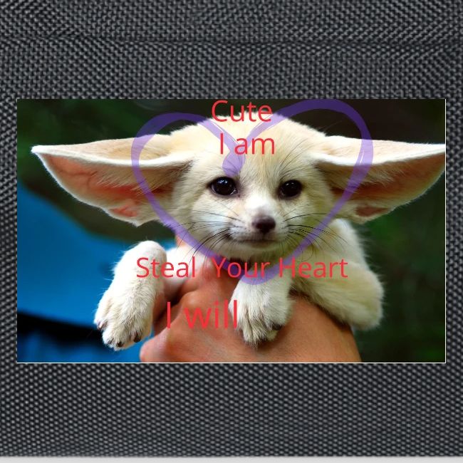 baby fox