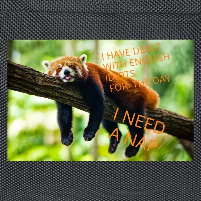 Fox napping meme