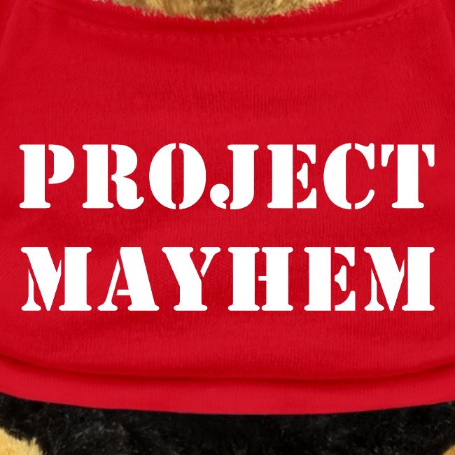 Project Mayhem