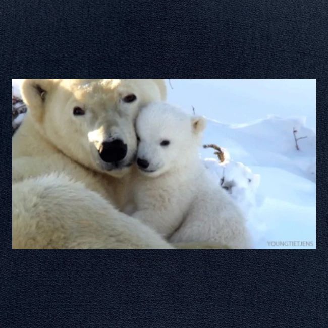 polarbearhug