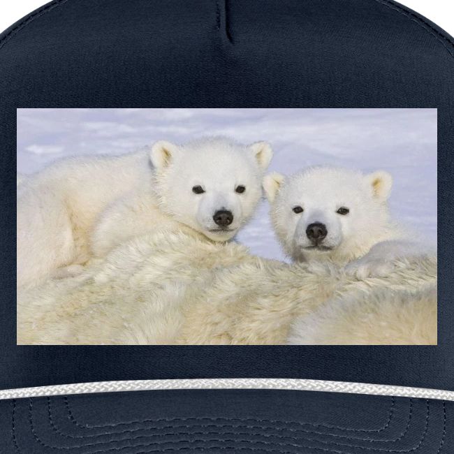 polarbears