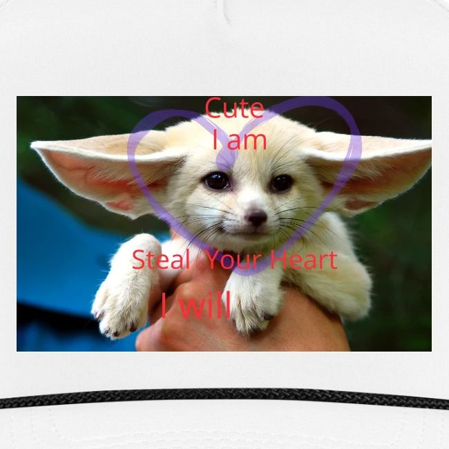 baby fox