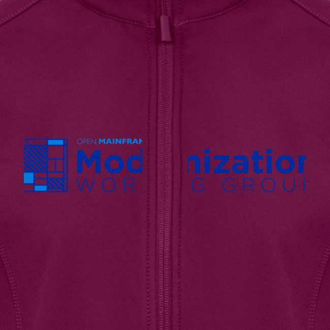 Modernization WG