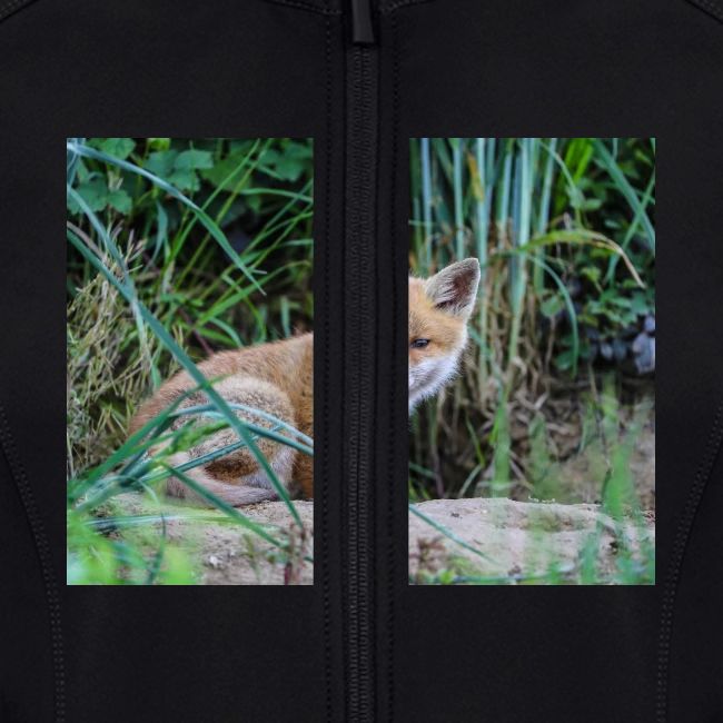 fox