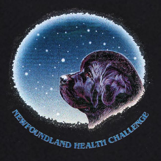 NCA Newfoundland Health Challenge Logo Gear