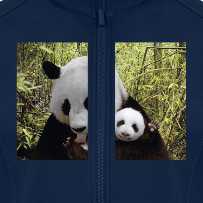 panda