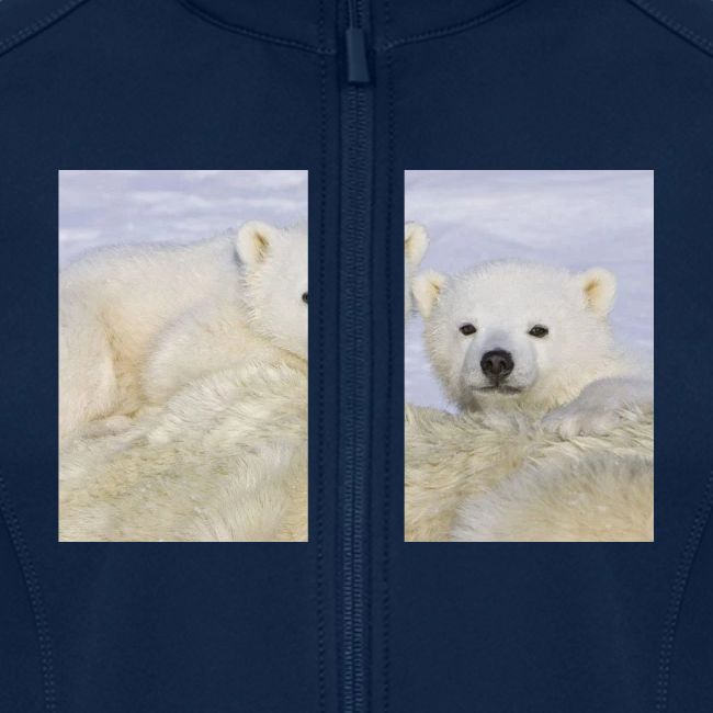 polarbears