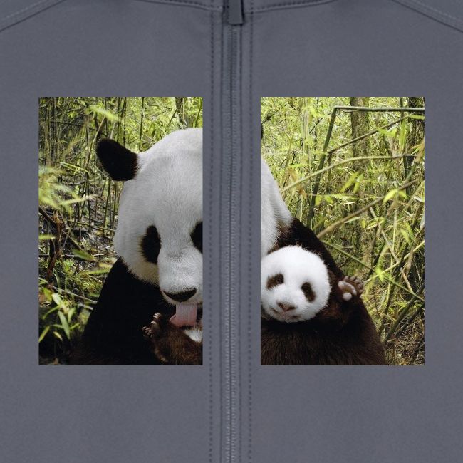 panda