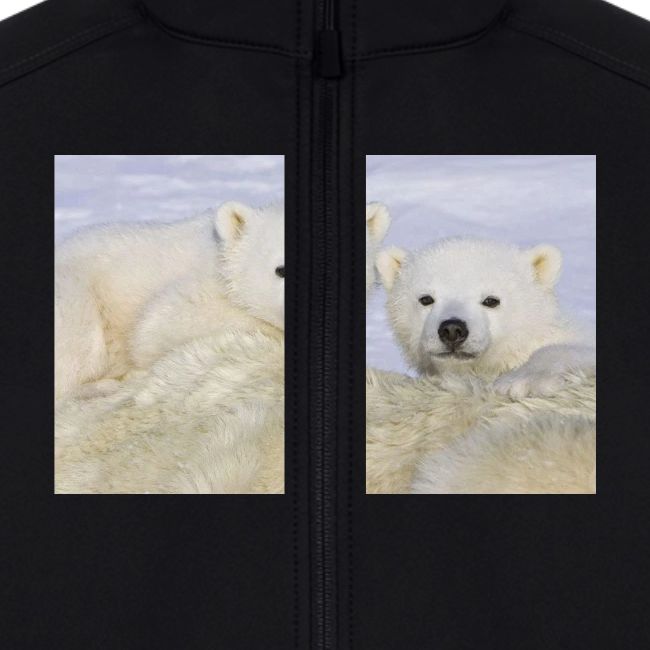 polarbears