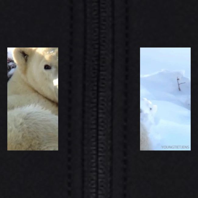 polarbearhug