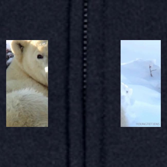 polarbearhug