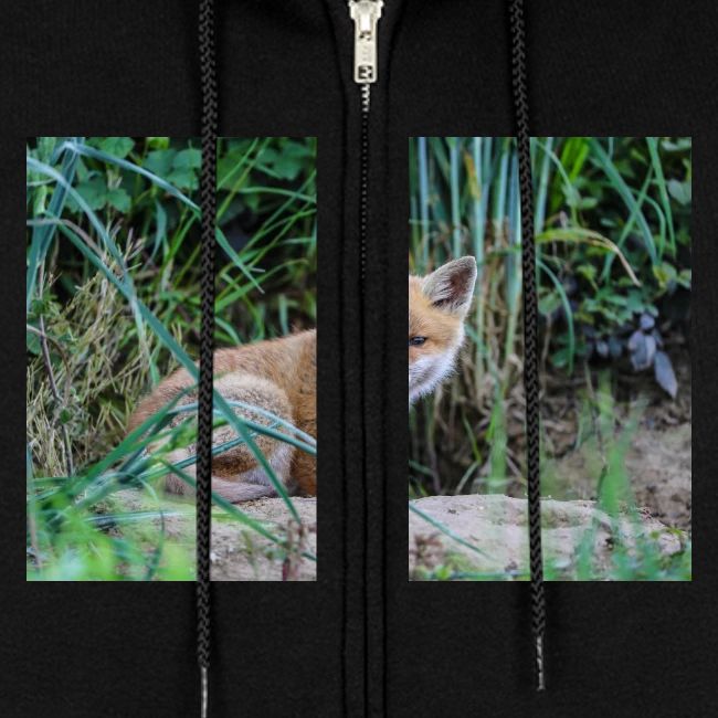 fox