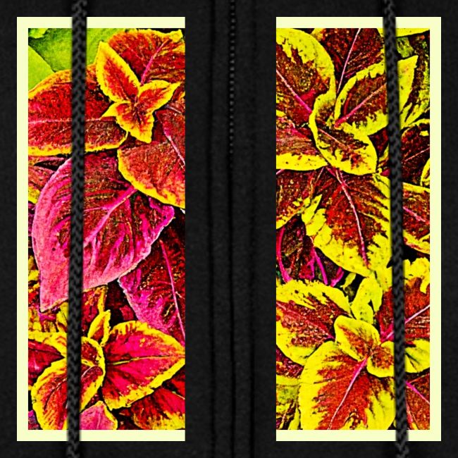 Coleus Leaf Burst Design