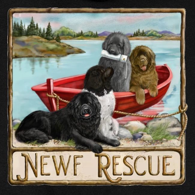 NCA Newfoundland Dog Rescue Gear