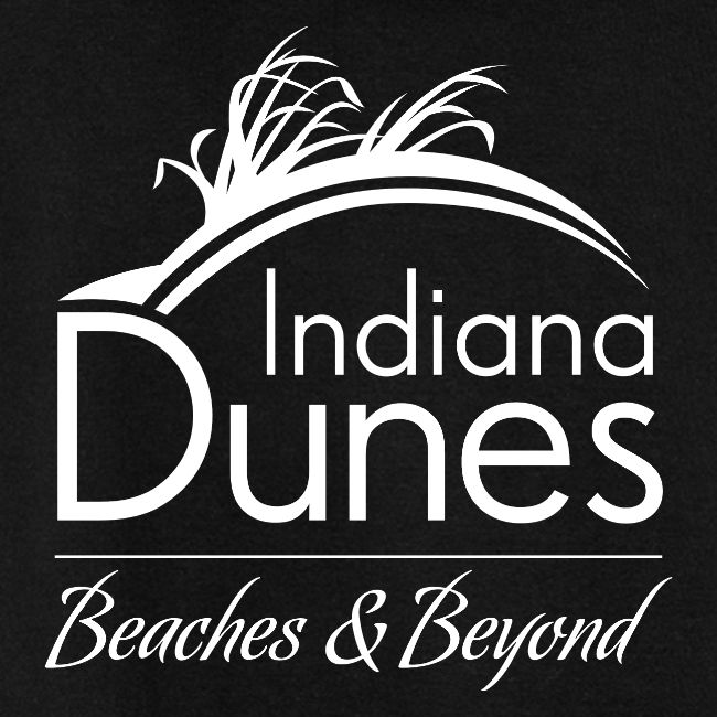 Indiana Dunes Beaches and Beyond