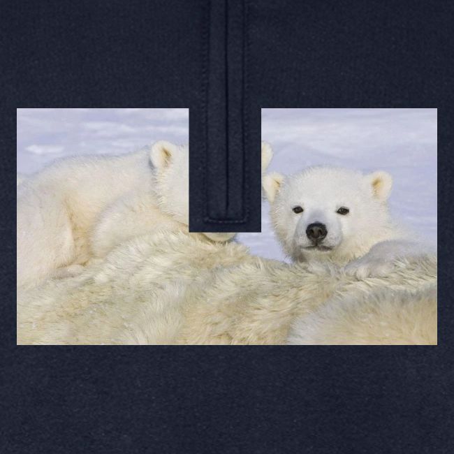 polarbears