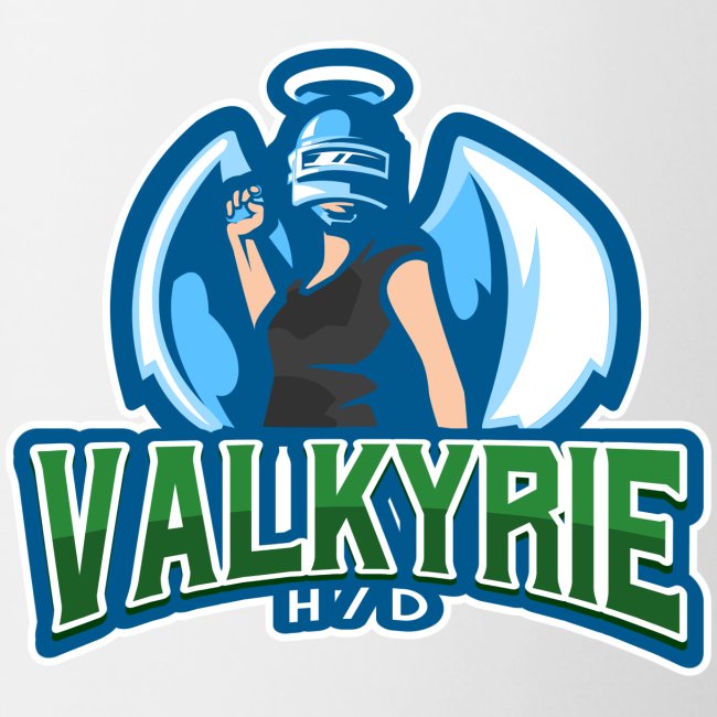 Team Valkyrie Product Line