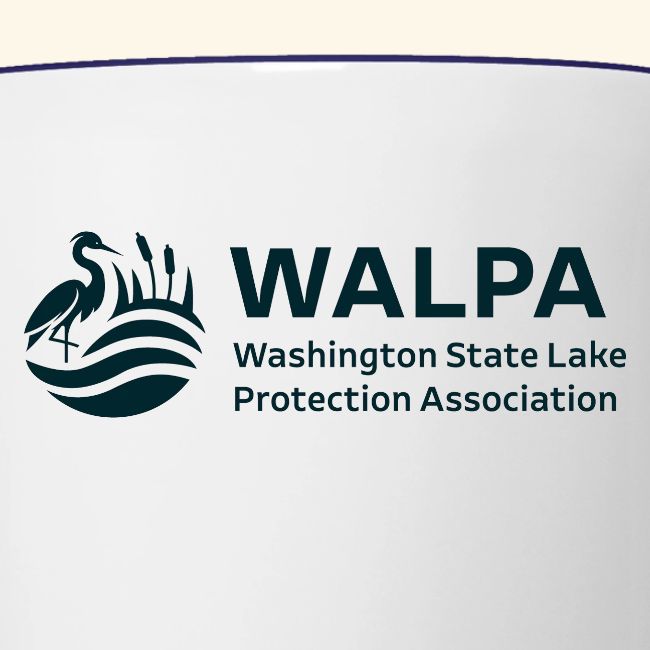 WALPA 1 Navy