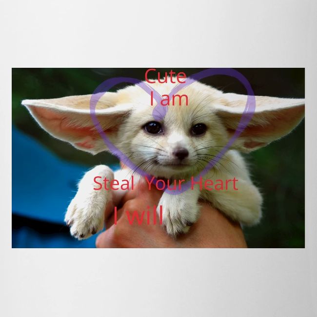baby fox