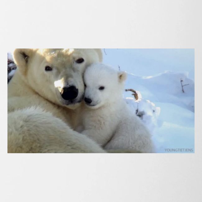 polarbearhug