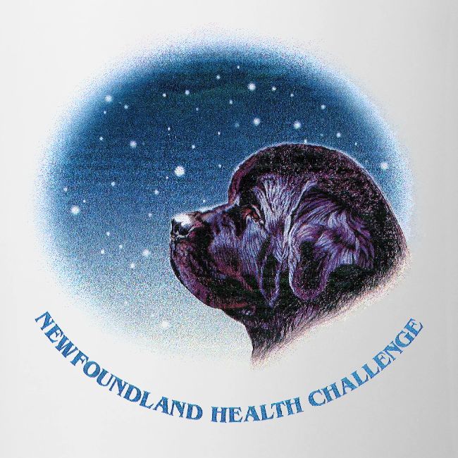 NCA Newfoundland Health Challenge Logo Gear