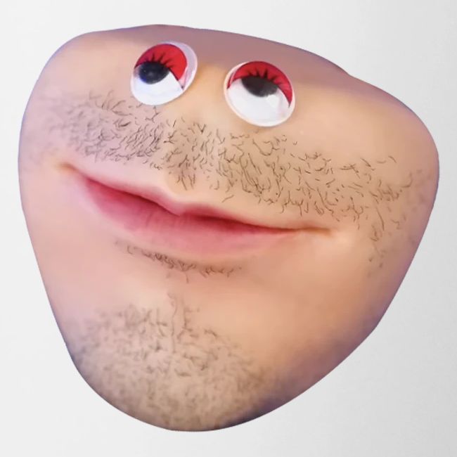 Mr Kiwi