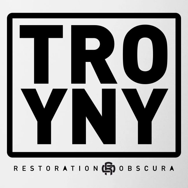 TROY NY Cube