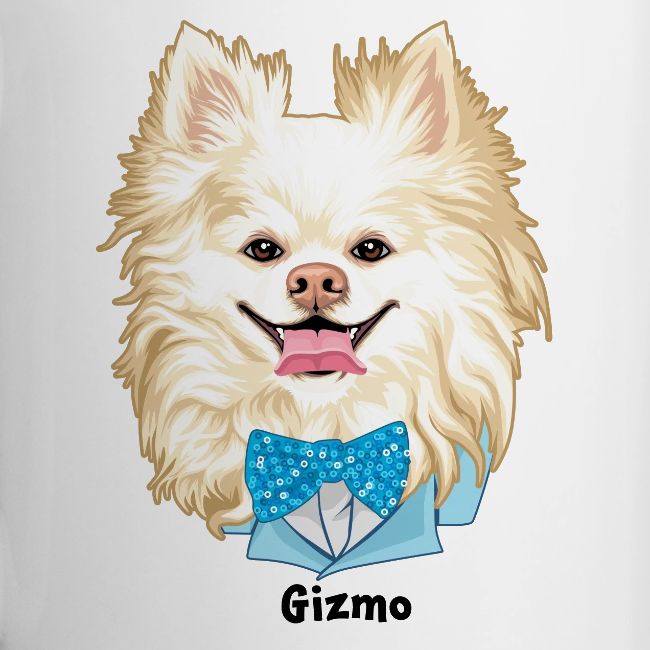 Gizmo