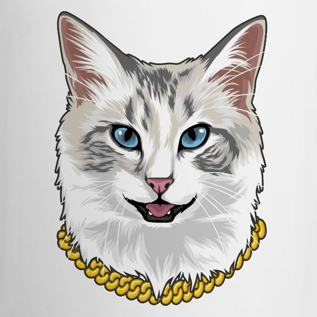 Cashmere the Cat