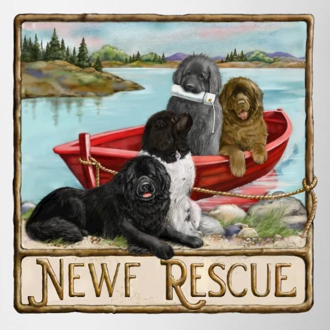 NCA Newfoundland Dog Rescue Gear