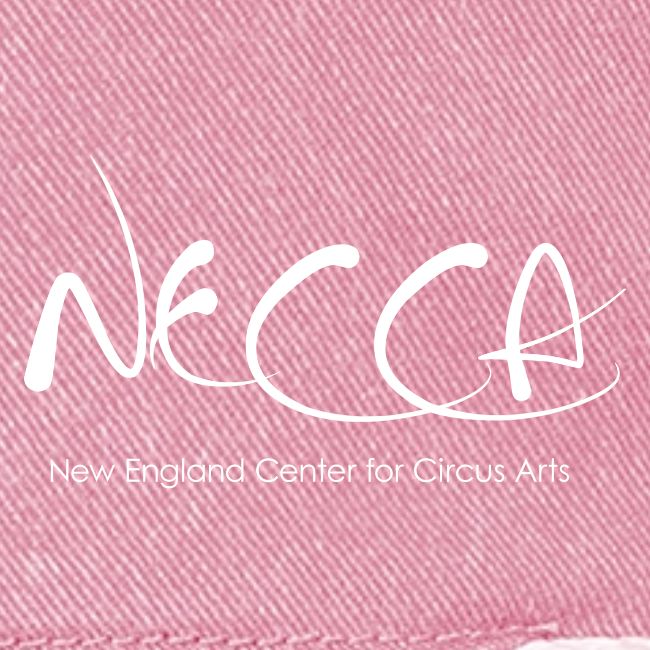 NECCA Pride Shirt