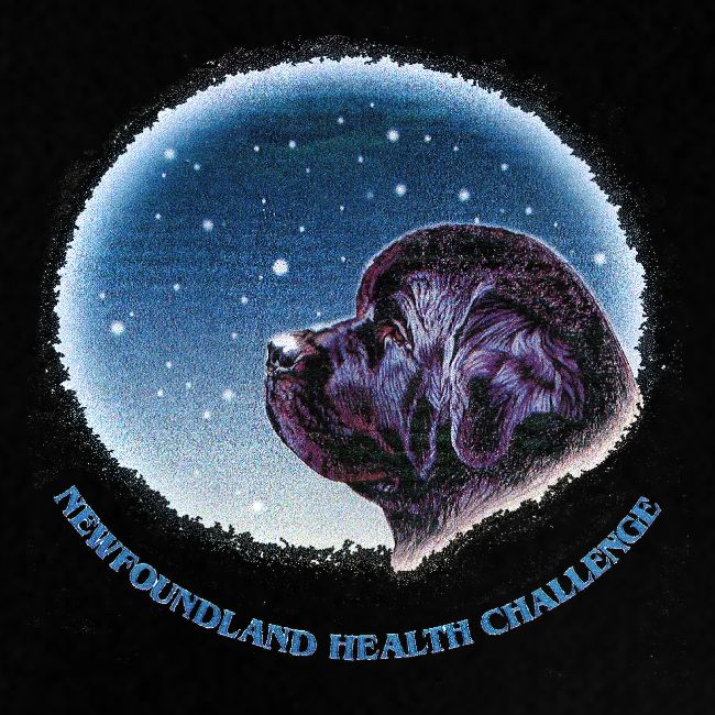 NCA Newfoundland Health Challenge Logo Gear