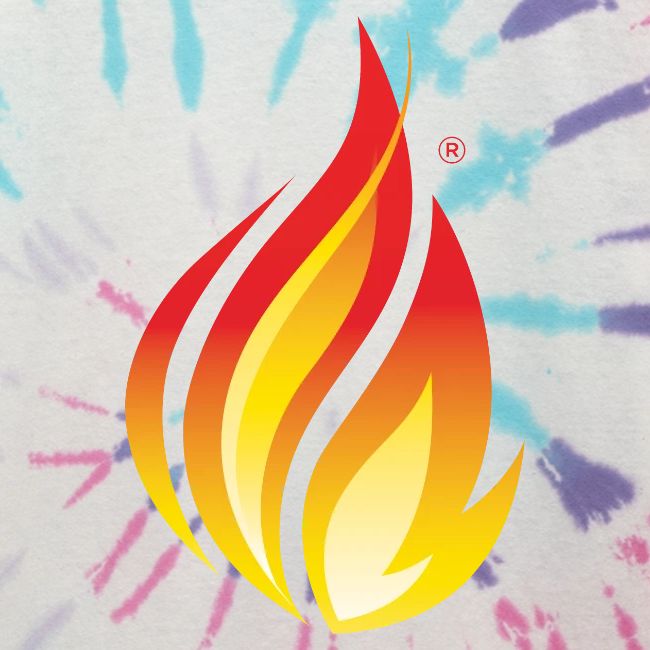 HL7 FHIR Flame Logo