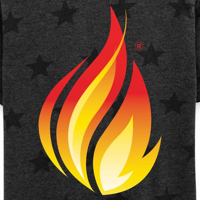 HL7 FHIR Flame Logo
